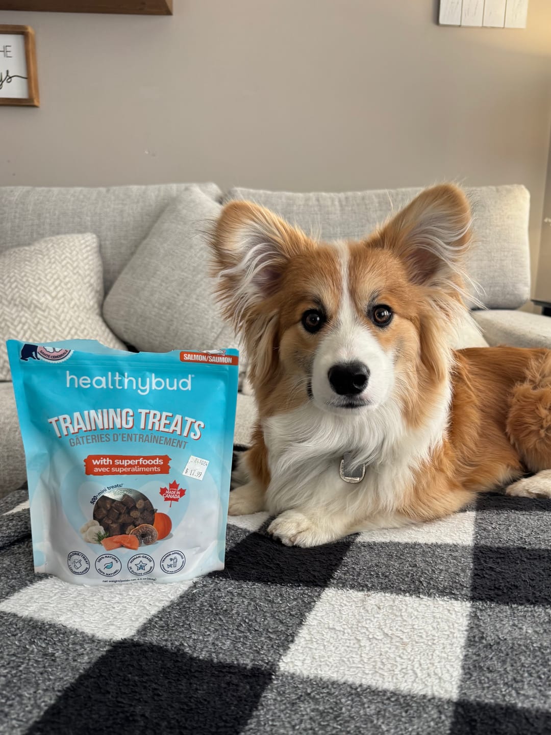 Customer photo review of Salmon Mini Training Treats
