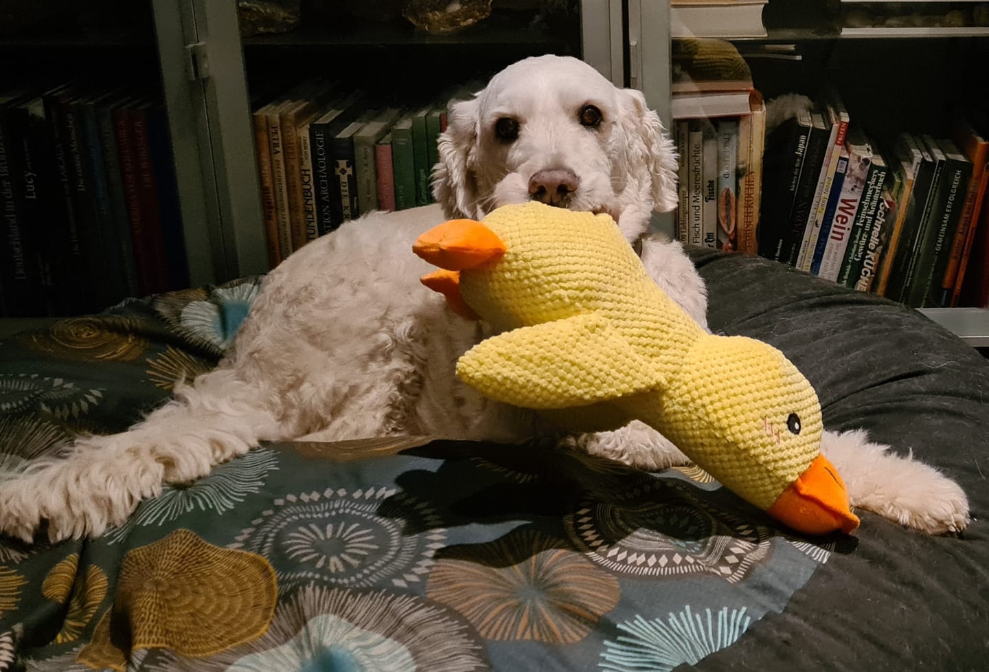 Customer photo review of HappyDuck™ – Anti-stress kosedyr