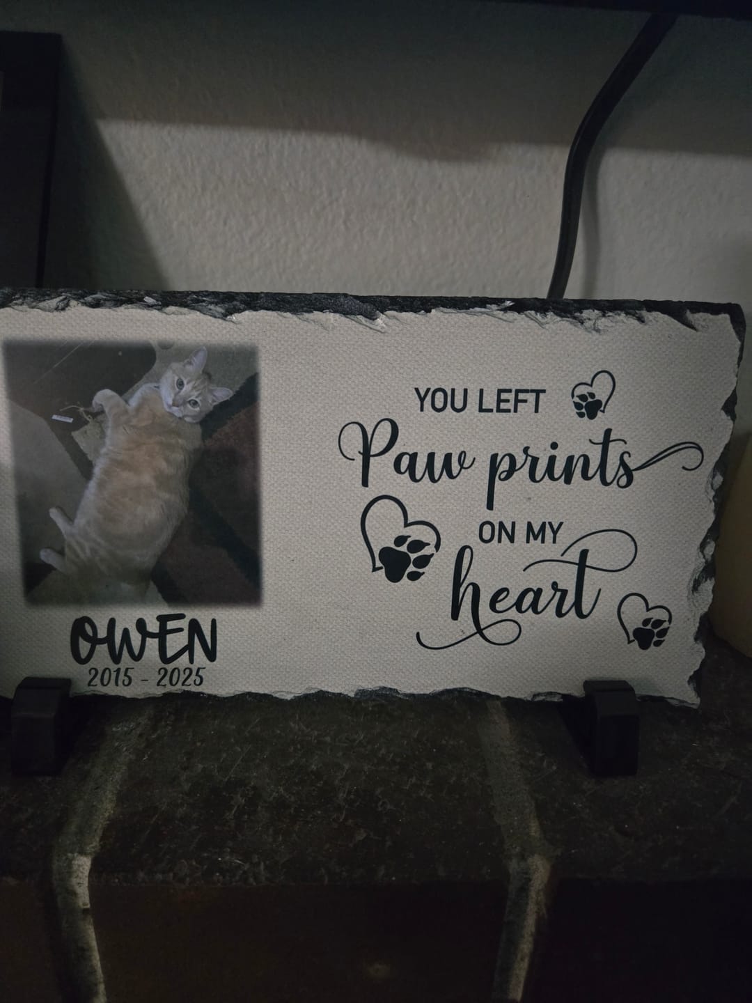 Customer photo review of Personalized Cat Memorial Plaque   You left paw prints on my heart  Personalized Picture Keepsake