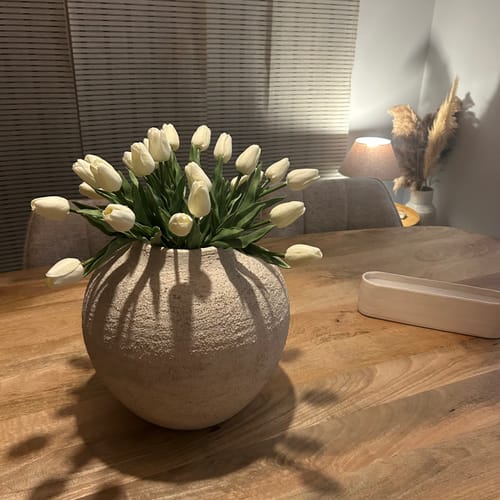 Customer photo review of Tulipes - Blanc (25 Tiges)