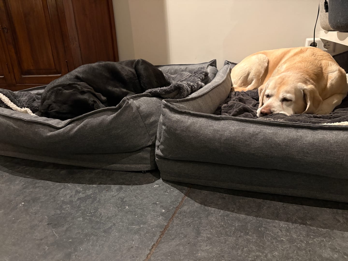 Customer photo review of Pet Perfect Hondenmand - Orthopedisch - Afritsbaar - Grijs