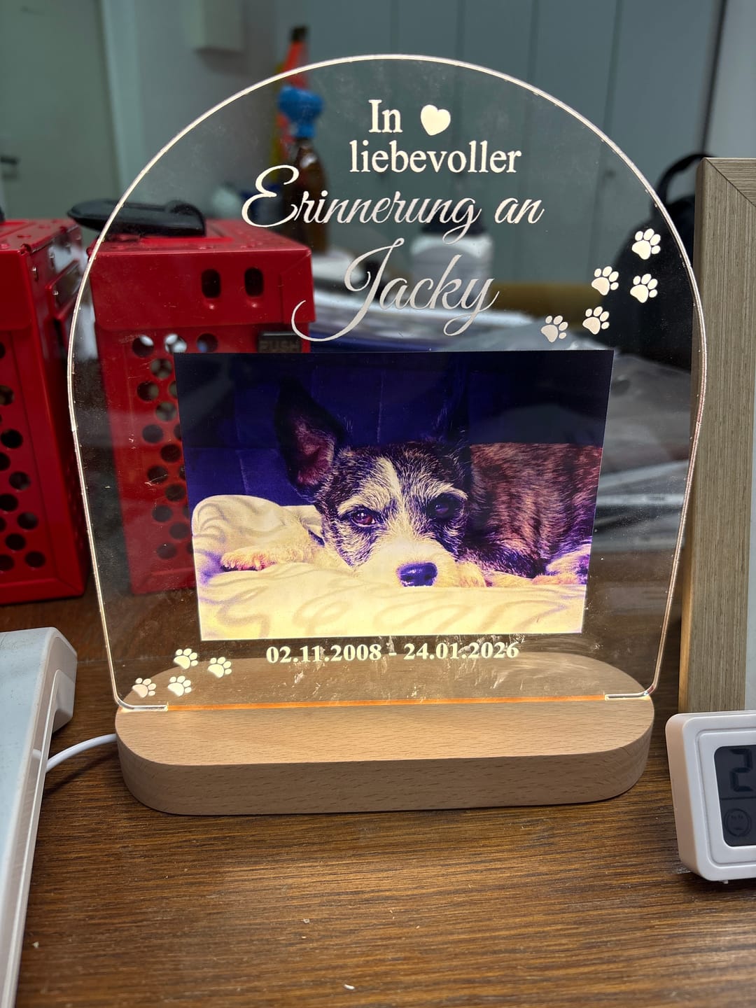 Customer photo review of Zur liebevollen Erinnerung – LED-Lampe für Hund/Katze