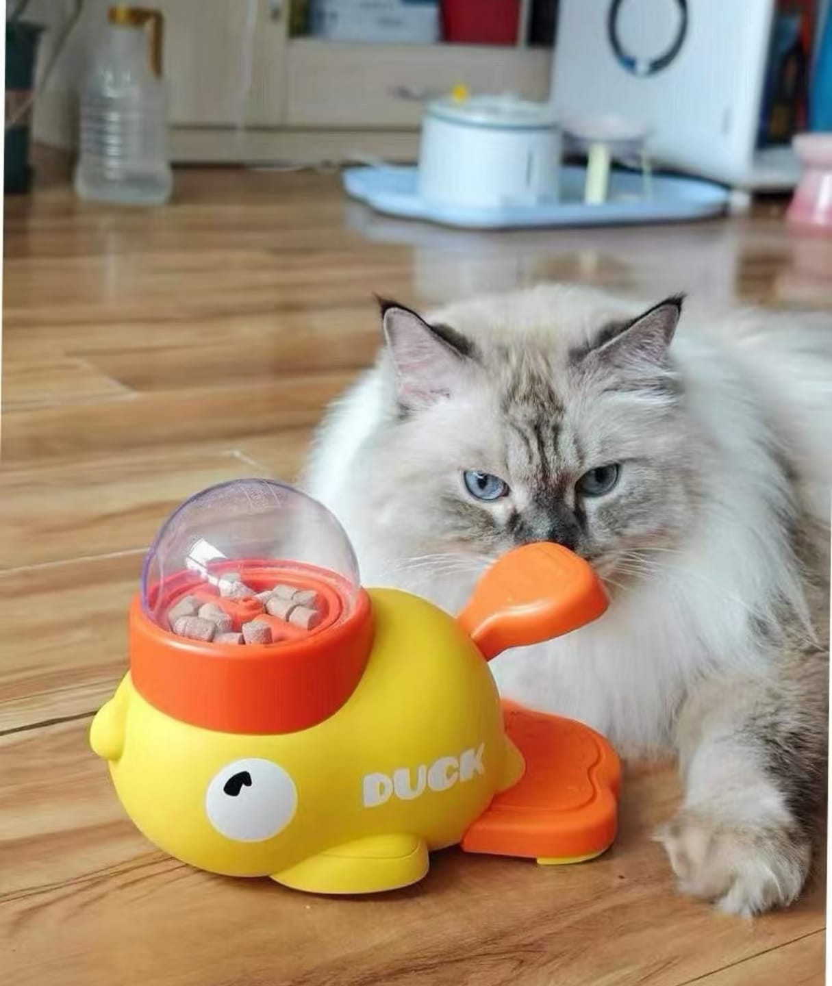 Customer photo review of Interactive Pet Feeder