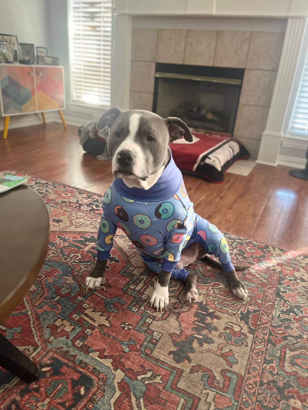 Customer photo review of Dog Pajama - Donuts