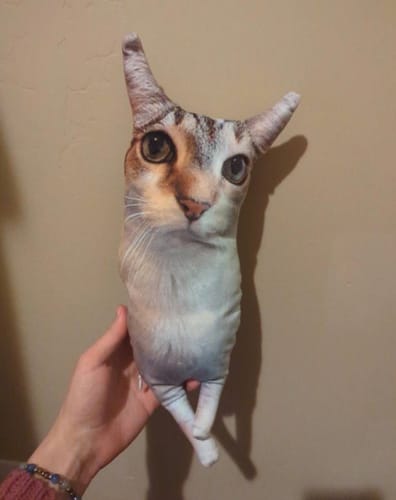 Customer photo review of Custom Pet Pillow