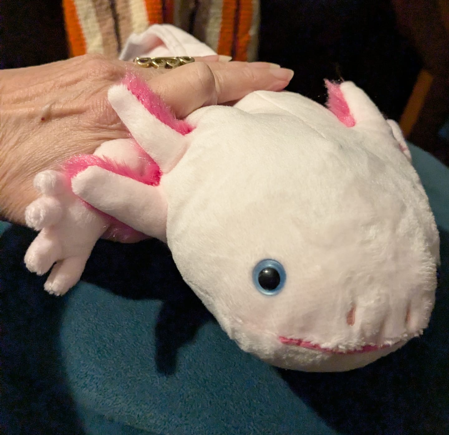Customer photo review of Pink Axolotl Soft Stuffed Plush Toy