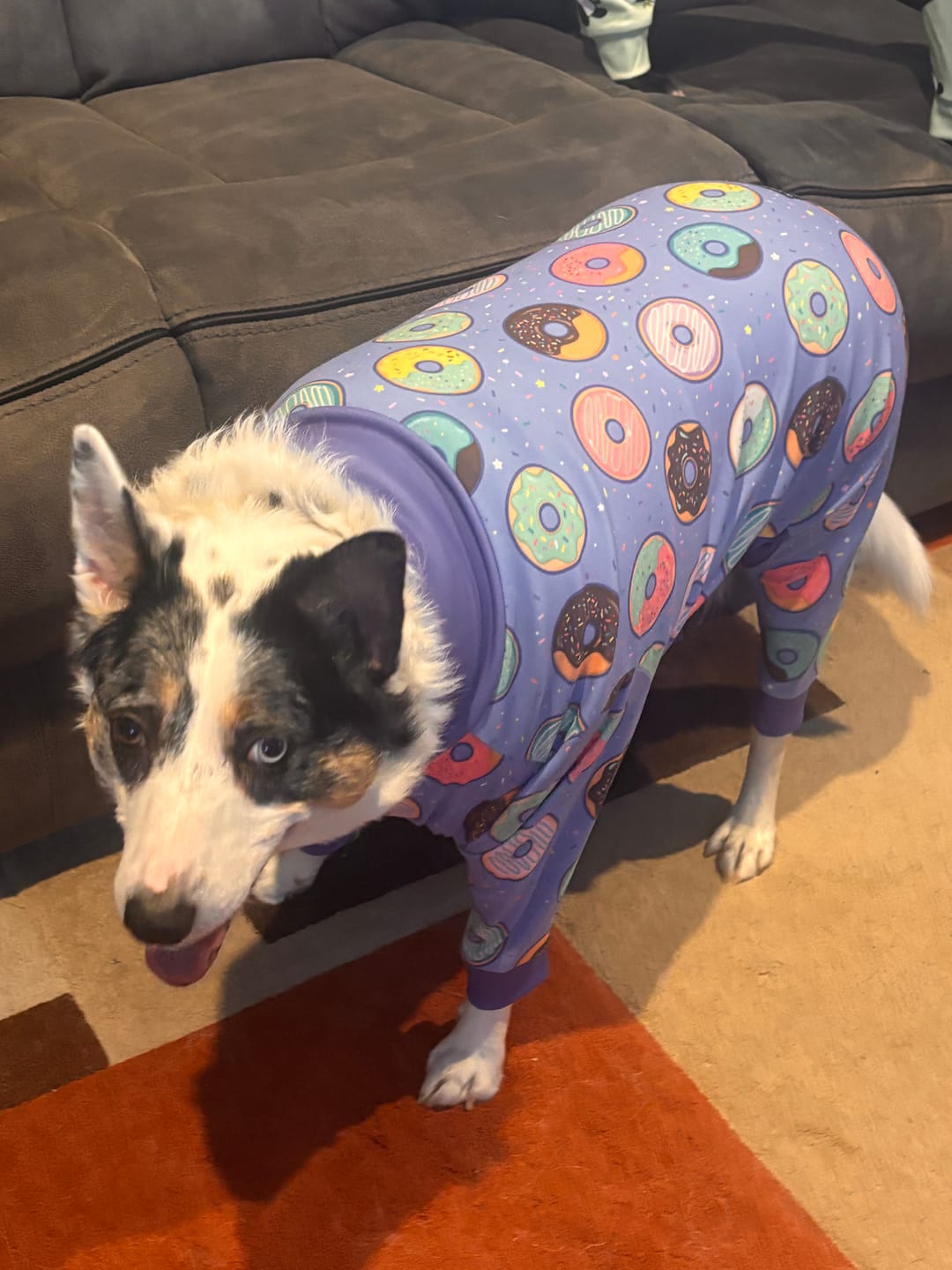 Customer photo review of Dog Pajama - Donuts