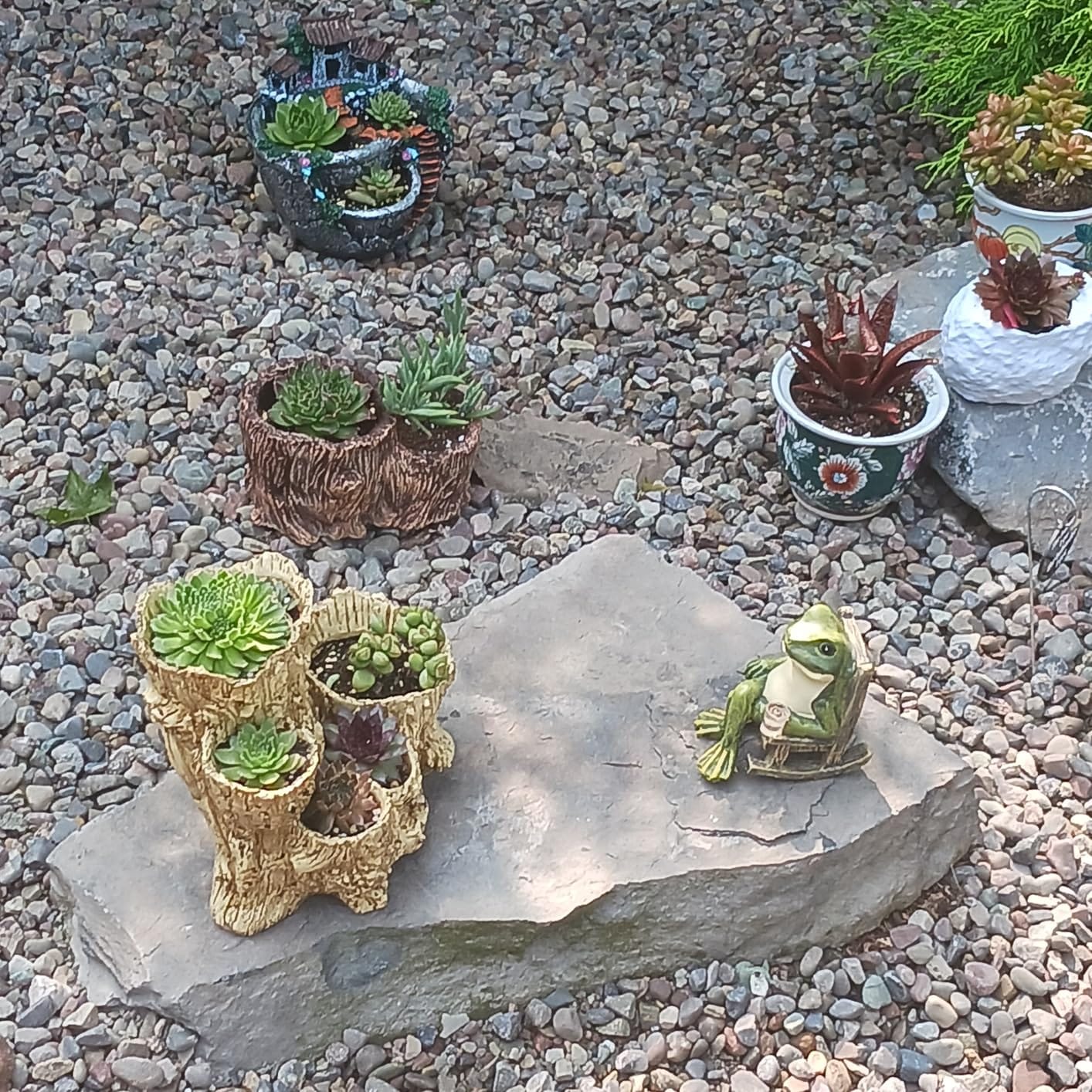 Customer photo review of Solar Mini Frosch Gartenfigur – Leuchtende Outdoor Deko
