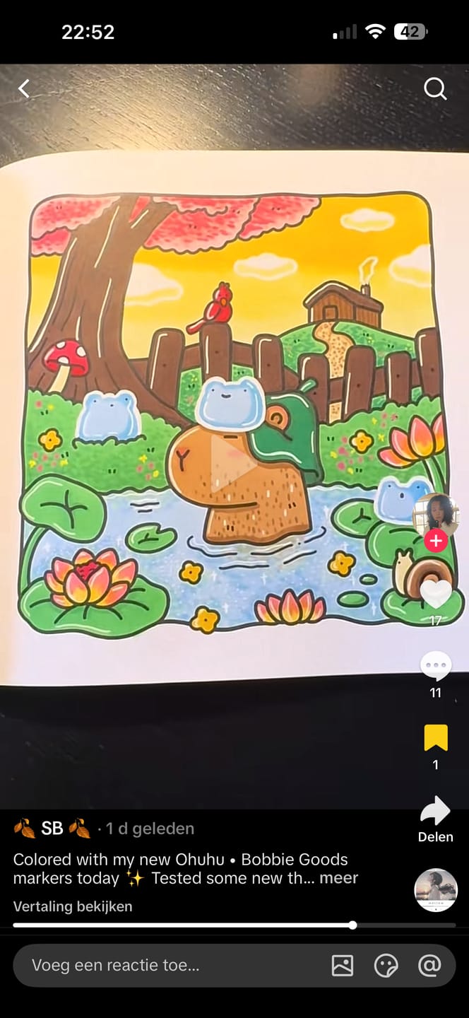 Customer photo review of Ohuhu Direct-ink Acrylic Markers 24 Colors - Nahuku