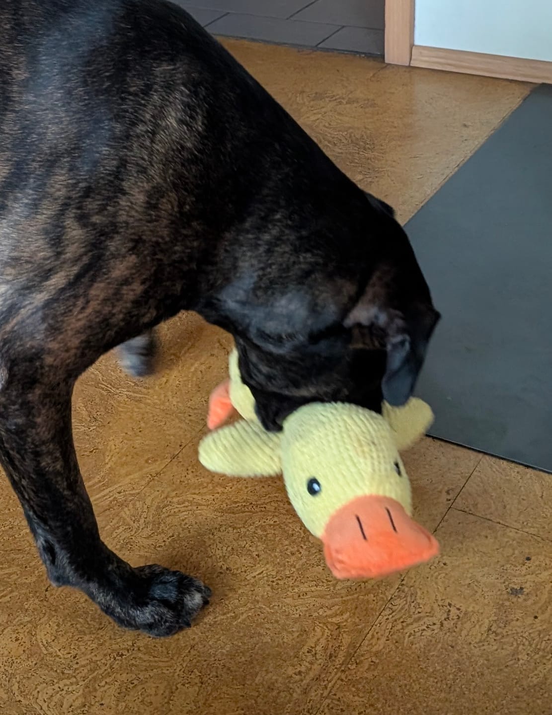 Customer photo review of HappyDuck™ – Anti-stress kosedyr