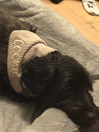 Customer photo review of Eastside Christmas Box