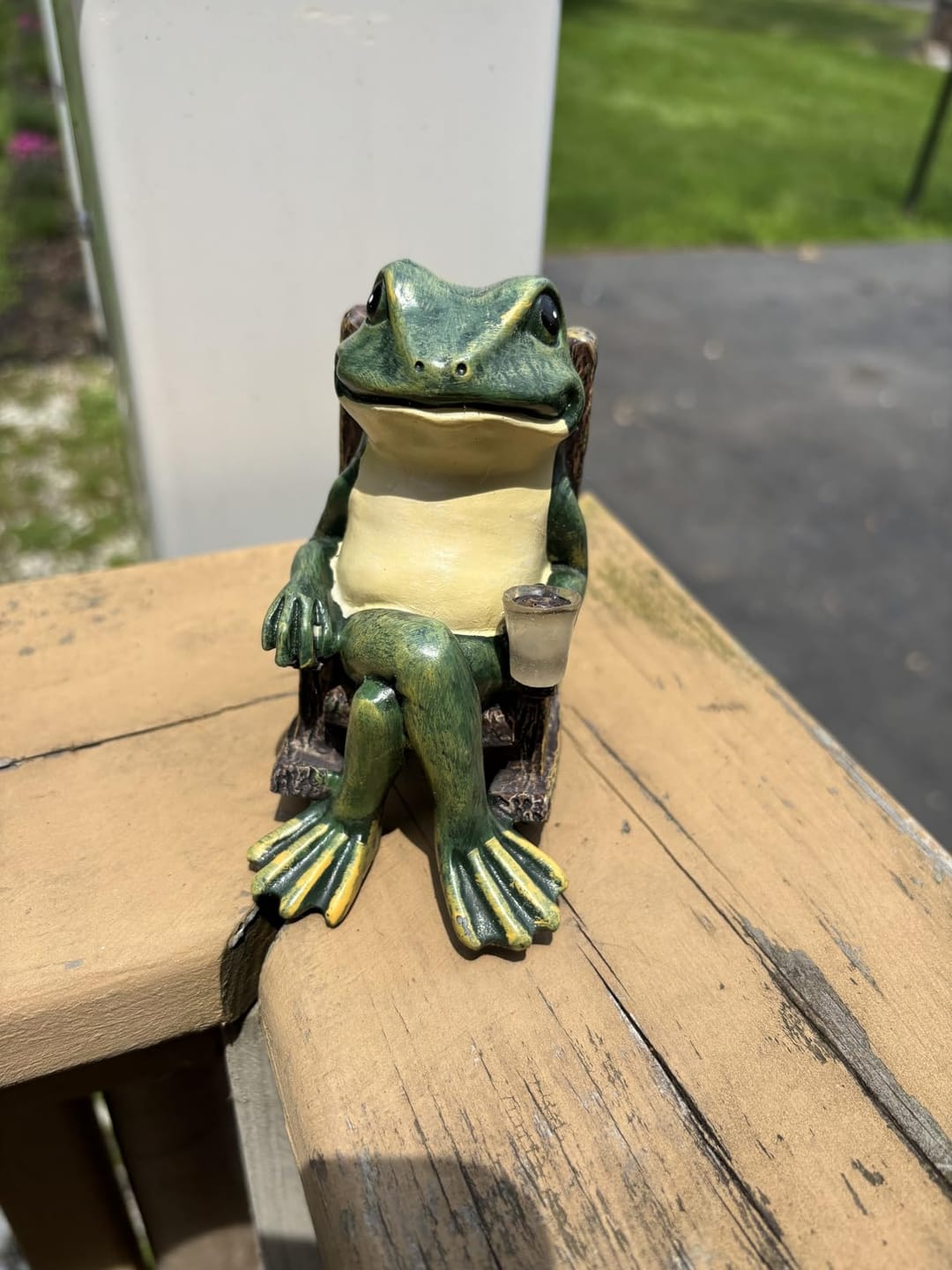 Customer photo review of Solar Mini Frog Garden Statue – Glowing Outdoor Decor
