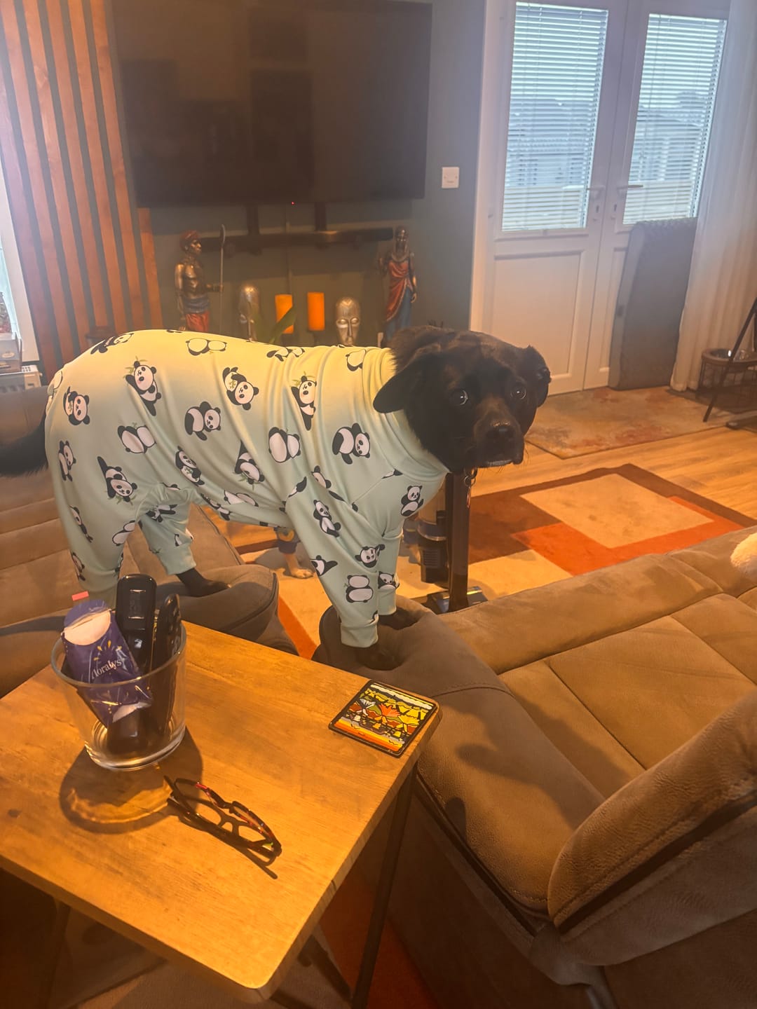 Customer photo review of Dog Pajama - Panda
