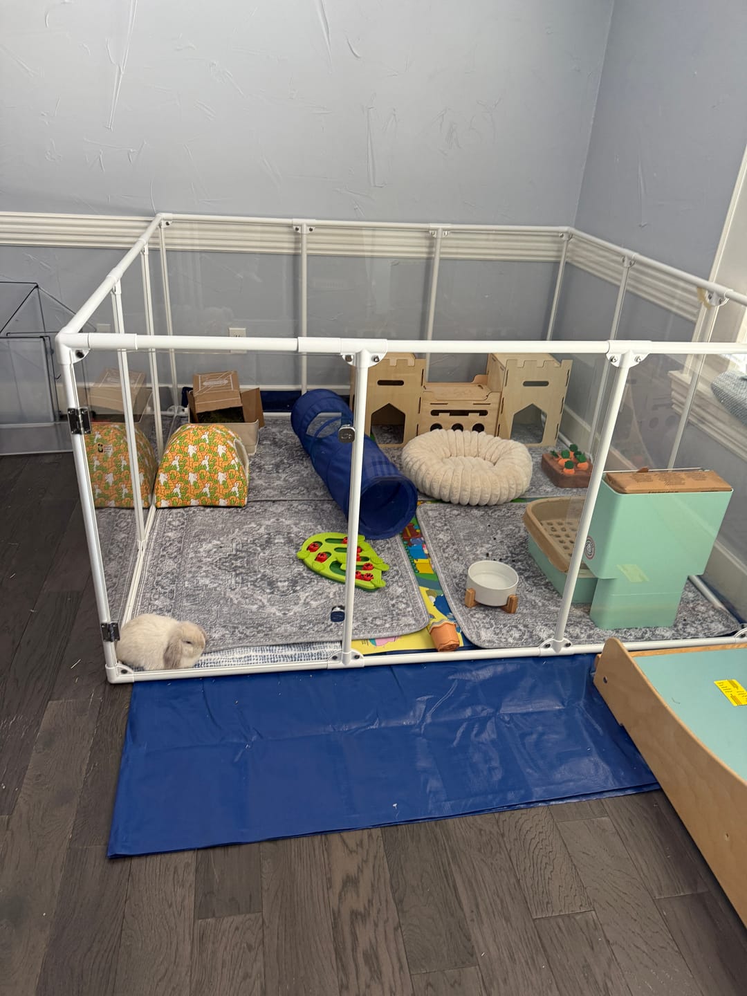 Customer photo review of 36" Tall Large Lucidium Pet Pen