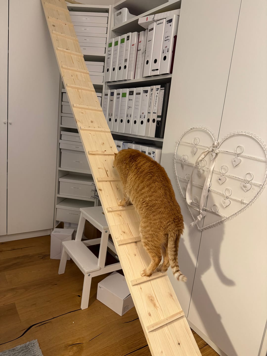 Customer photo review of Elmato Katzentreppe naturbelassen 1-4 Meter, verschiedene Größen
