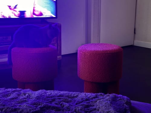 Recensent toont twee by fonQ Arc poefs in een woonkamer, met een kat die op een ervan zit.