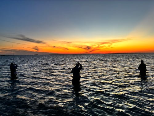Reviewers standing waist-deep in the water, fishing with rods during a colorful sunset.