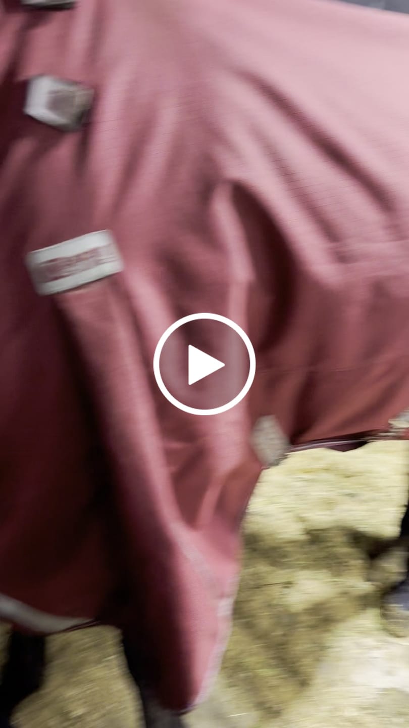 Customer video review of LE Boxter Stable Rug 100g