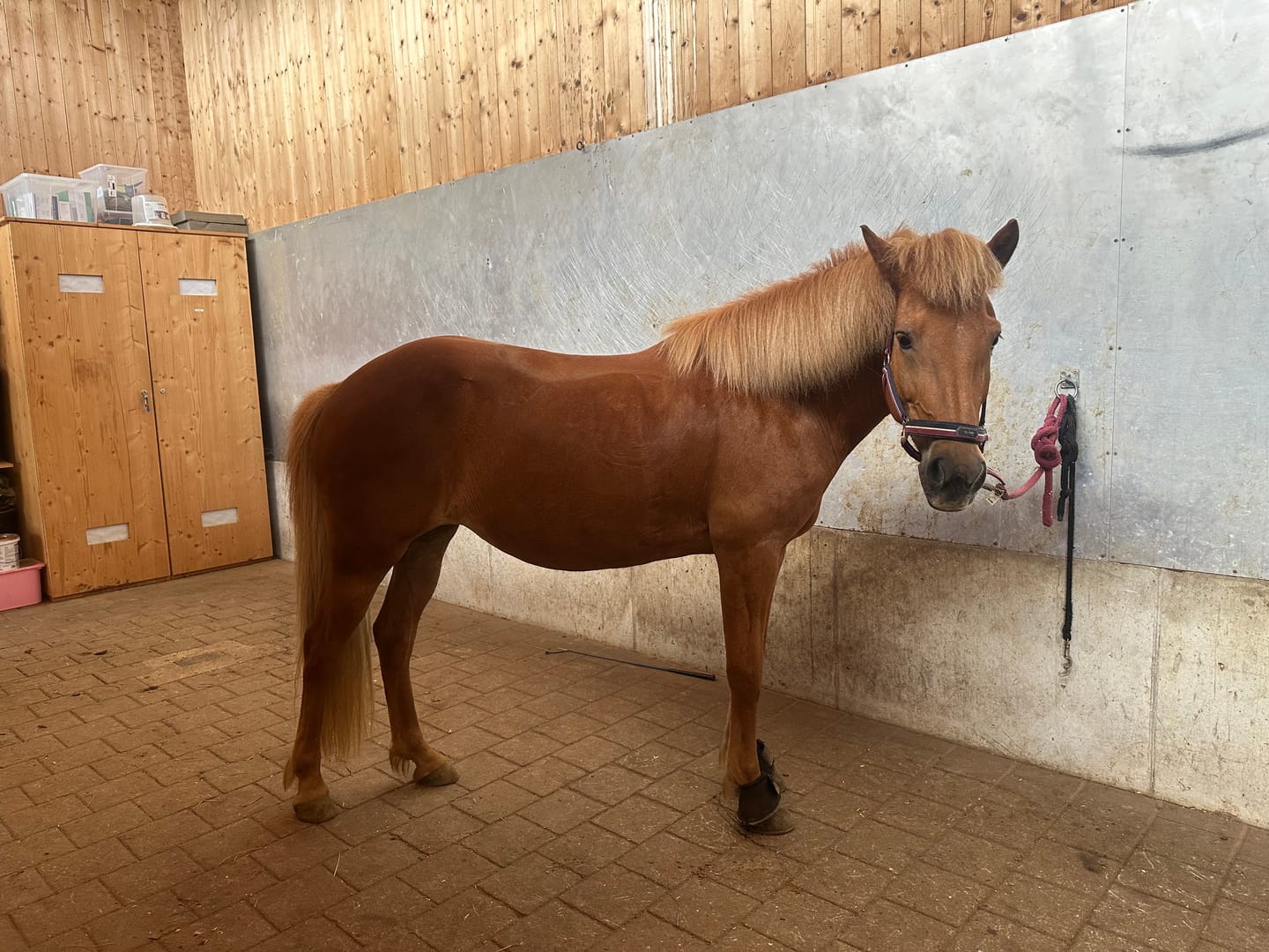 Customer photo review of Kristallkraft No1