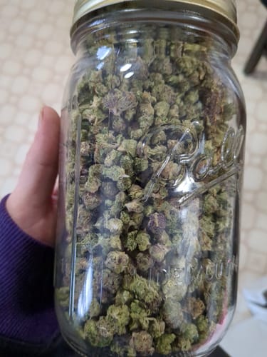 Customer photo review of Bulk Indoor THCA Smalls