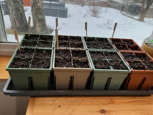 Customer photo review of Seed Starting Kit