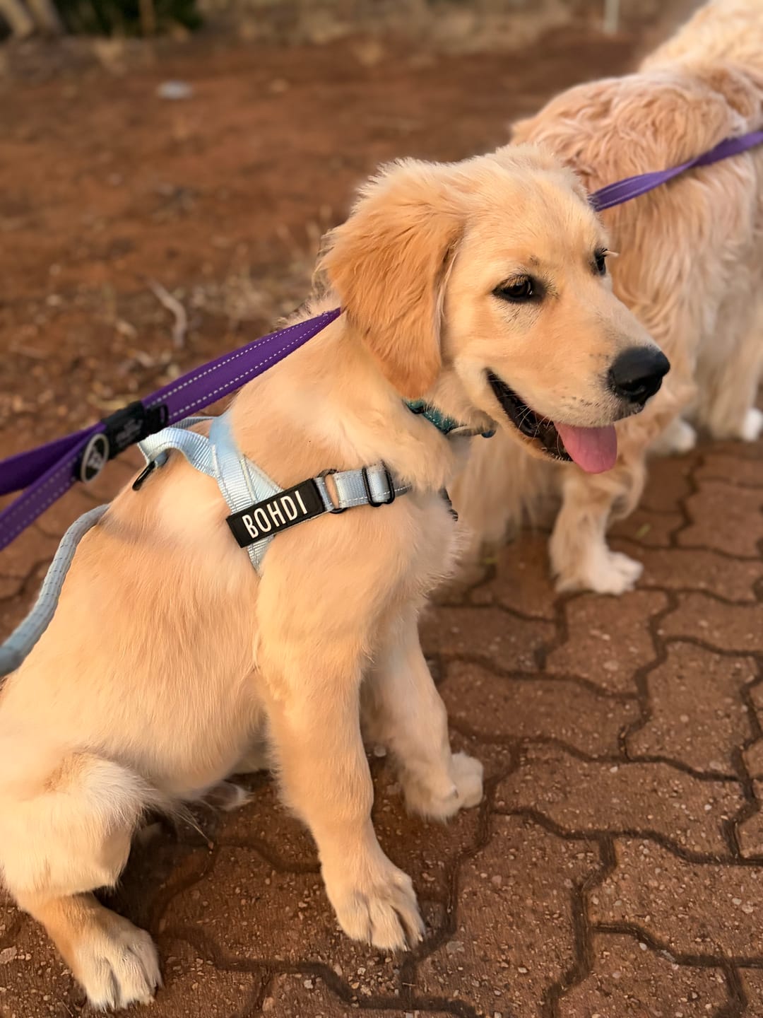 Customer photo review of Custom Name Tag