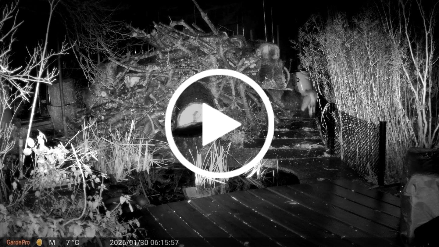 Customer video review of GardePro A60 Non-Cellular Trail Camera with Solar Panel