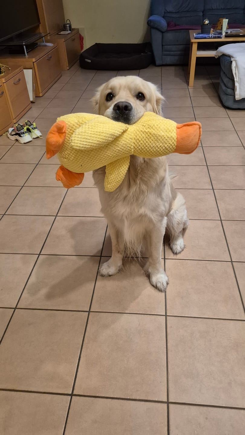 Customer photo review of HappyDuck™ – Anti-stress kosedyr