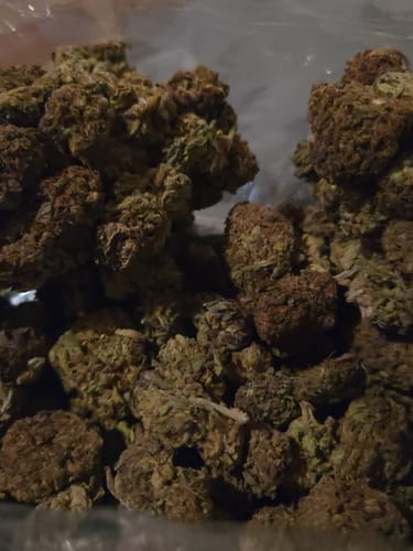 Customer photo review of Grape Cream Cake - Bulk - Indica