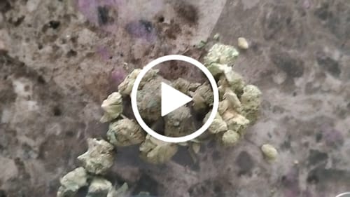 Customer video review of Greenhouse Smalls
