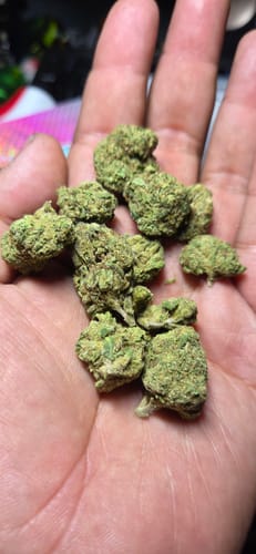 Customer photo review of Lemon Cherry Gelato Runtz - 28 Grams Littles - Indica