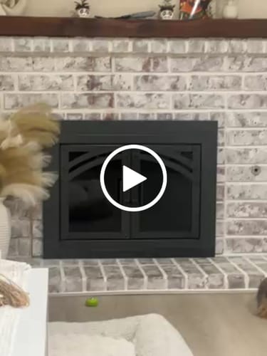 Customer video review of Camden Natural Iron Masonry Fireplace Door | Standard Sizes | Sale