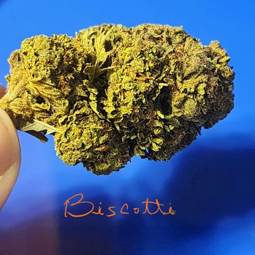 Customer photo review of Cheap THCA Flower Ounce