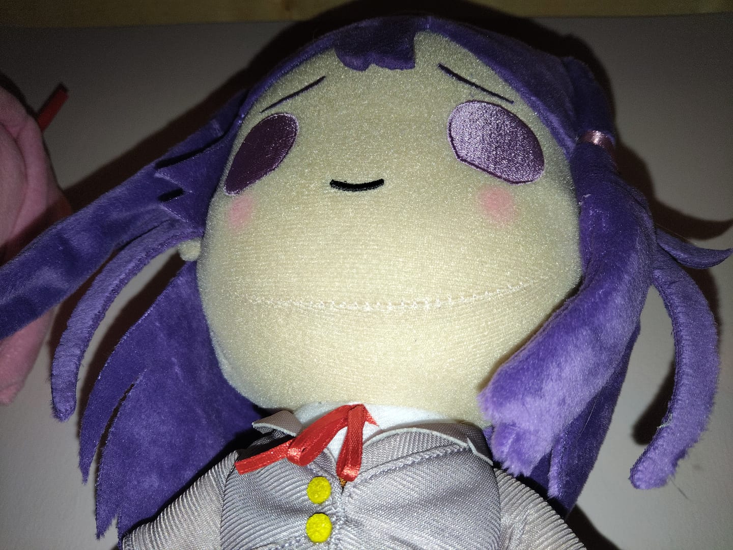 Customer photo review of Doki Doki Literature Club - Yuri Collector's Plush