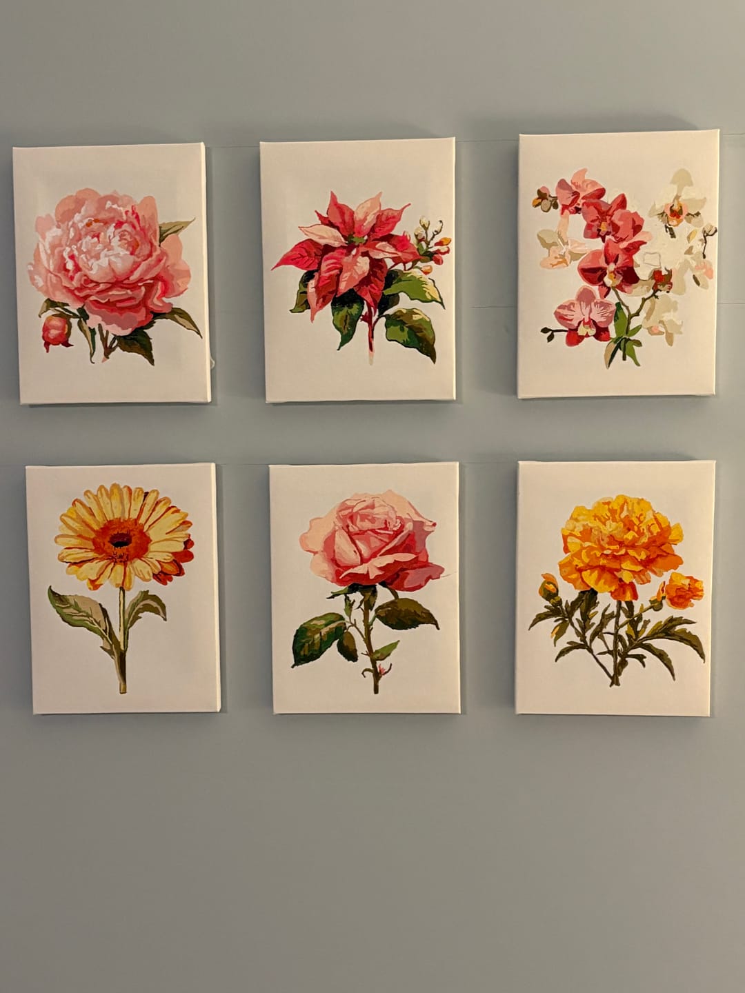 Customer photo review of Set of 6 Mini Paintings - Flowers