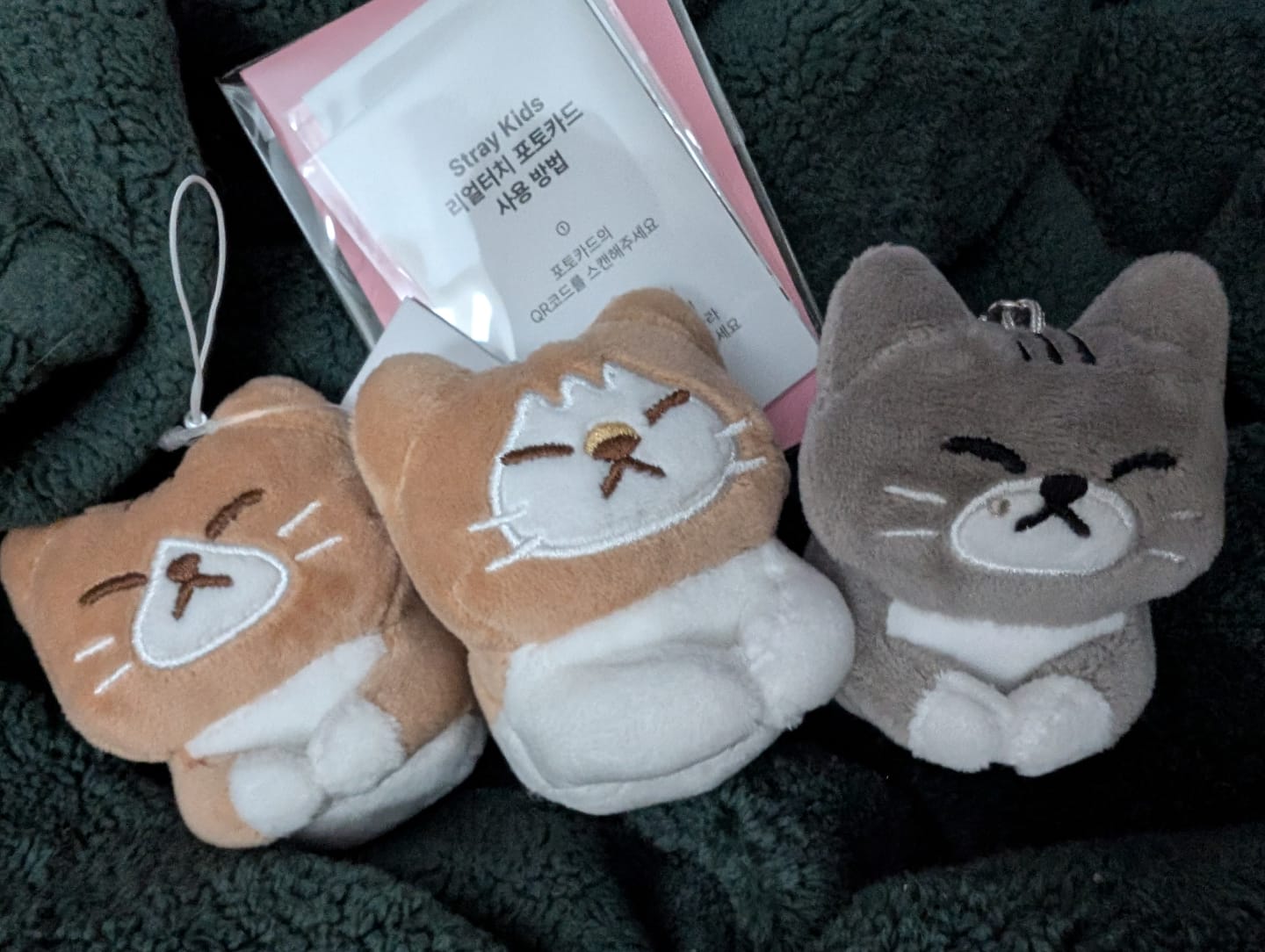 Customer photo review of Stray Kids [dominATE : celebrATE] SOON-DOONG-DORI Keyring by Lee Know
