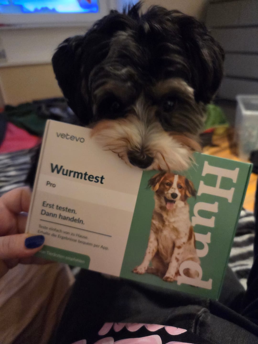 Customer photo review of Wurmtest Pro Hund