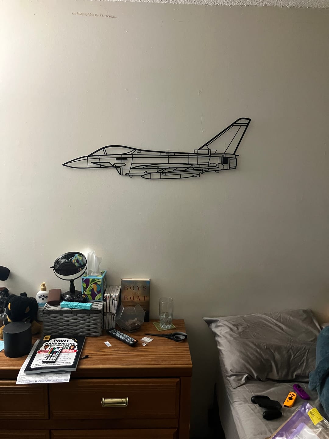 Customer photo review of Eurofighter Typhoon Metal Aircraft Wall Art - NCP0067