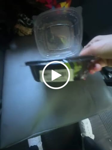 Customer video review of Gouda Mornin' Sando
