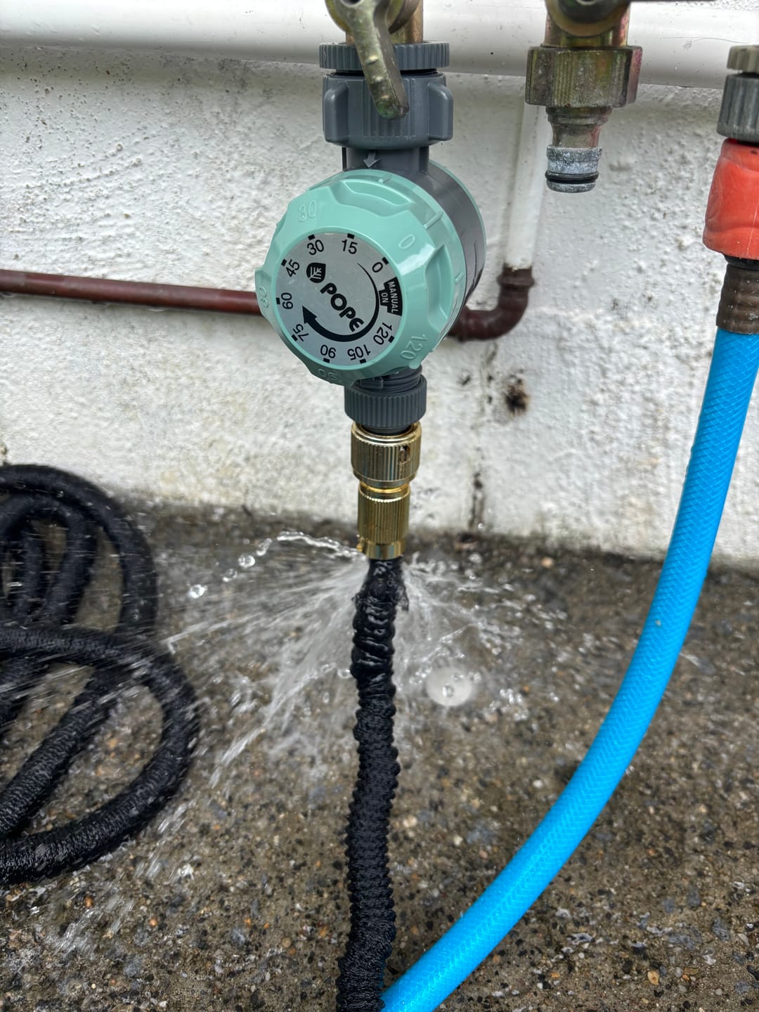 Customer photo review of GardenMate™ - Expandable Garden Hose