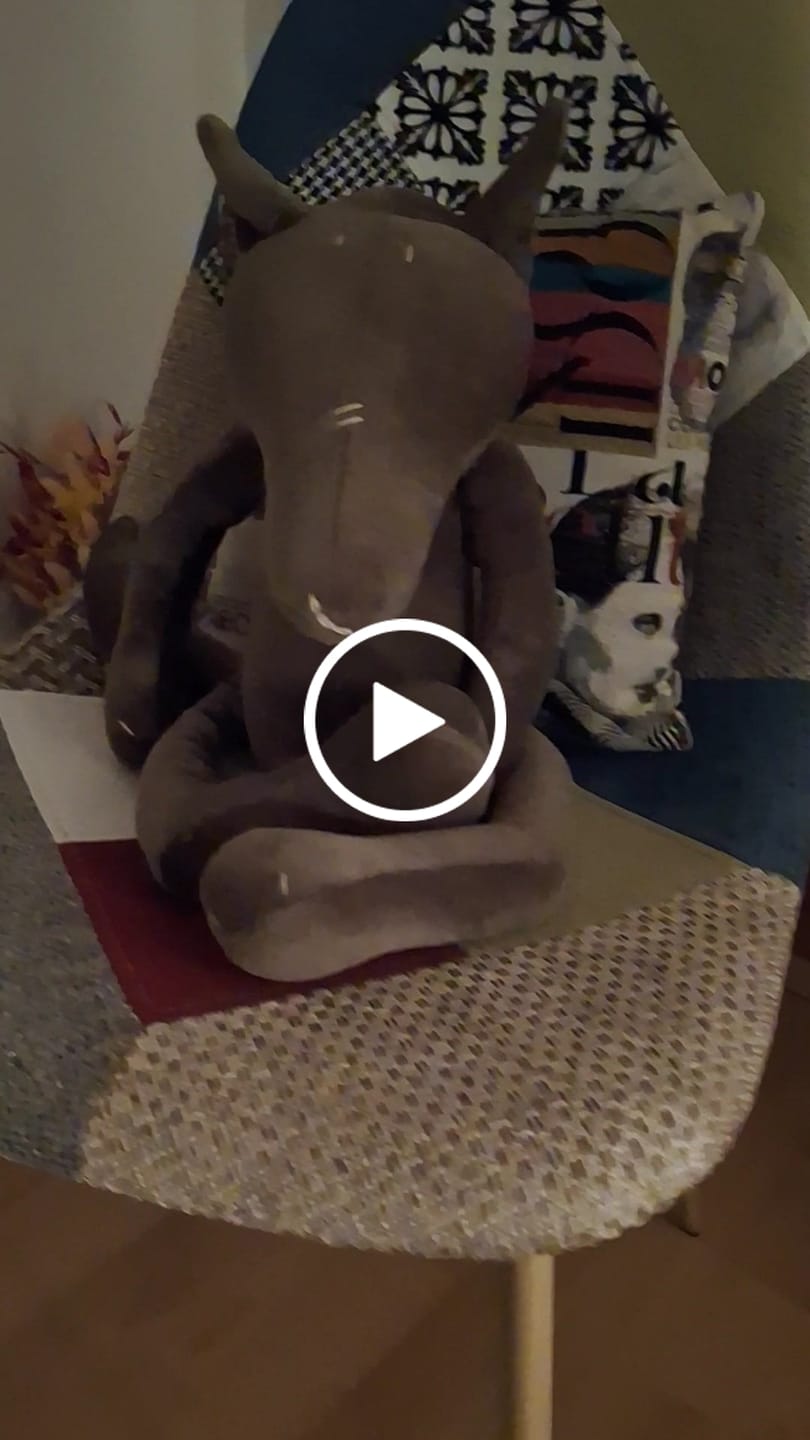 Customer video review of PIOTR LE LOUP - L