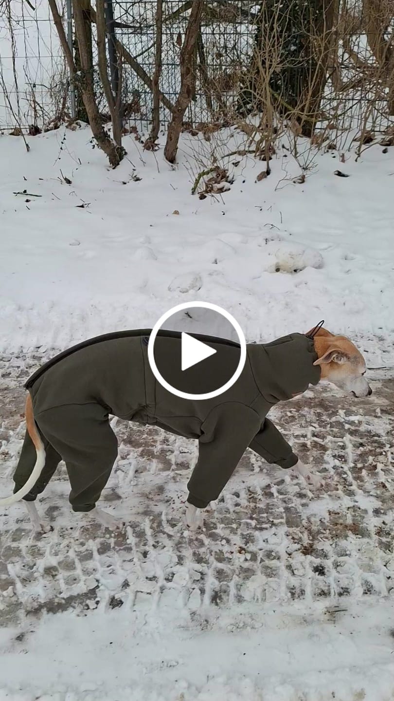 Customer video review of Nuuk "Mountain Green"