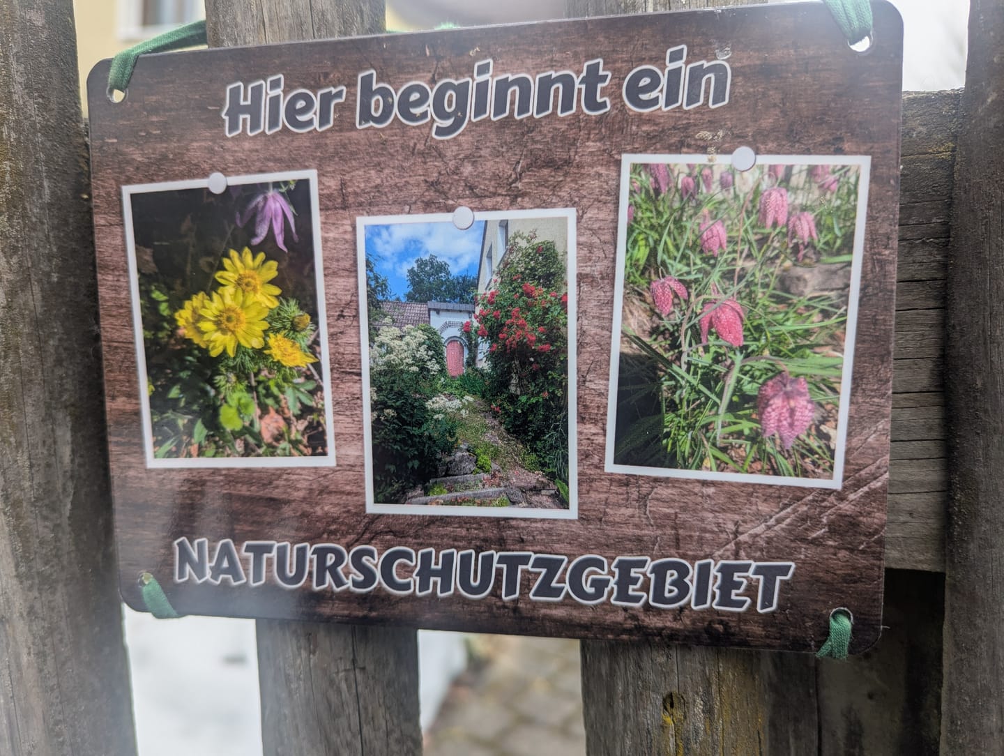 Customer photo review of Hunde-Türschild personalisiert mit Foto & Text (UV- und wetterfest)