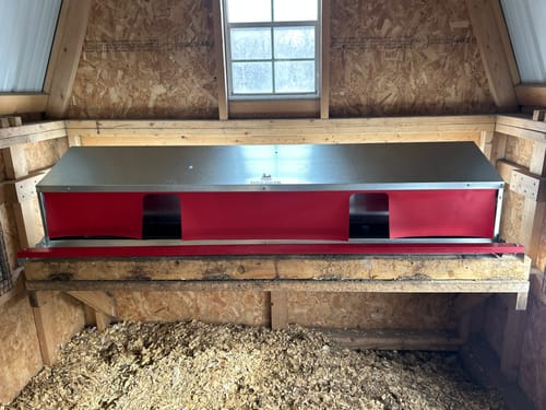 Customer photo review of X-Large (72") Reversible Roll-out Nest Box (Up to 75 Hens)