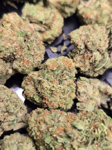 Customer photo review of Larry Bird Gelato THCA Flower