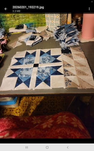 Customer photo review of Block Of The Month - Tulip Bellflower (104.5" x 104.5")