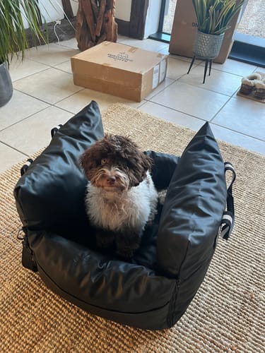 Customer photo review of The Dog Dock V2 New & Improved with ISO Fix