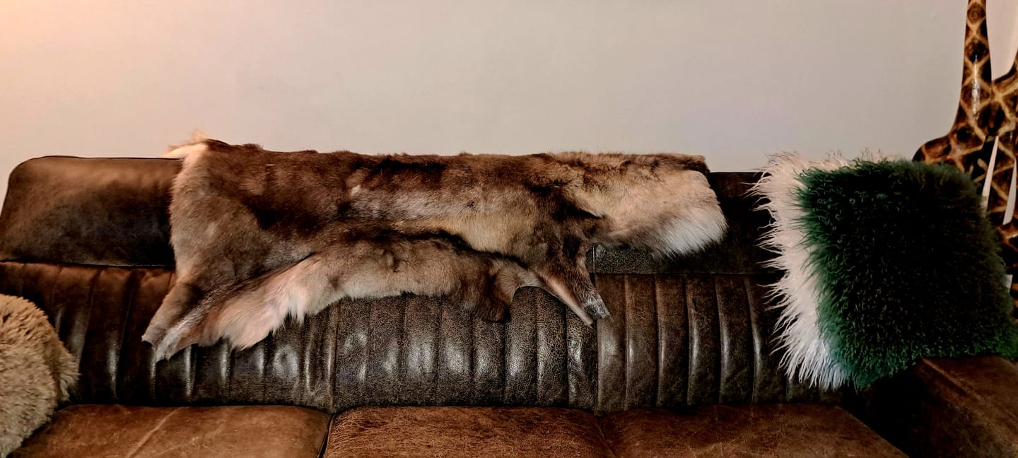 Customer photo review of XL Reindeer Fur Hide - Seconds