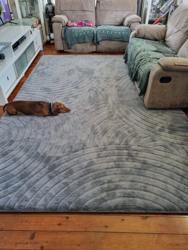 Customer's grey Deluxe Shaggy Relax Mat in a living room, with a small dog sleeping comfortably on its soft surface.