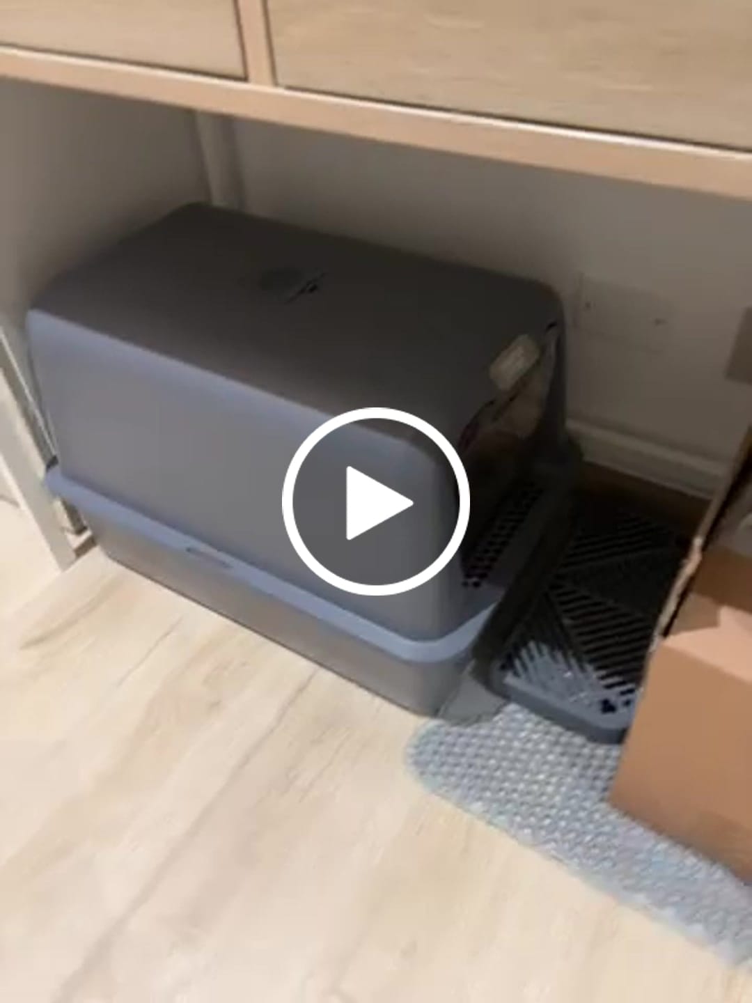 Customer video review of BORING LITTER - Lettiera in Acciaio INOX